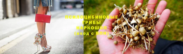 apvp Баксан