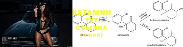 гидропоника Балахна