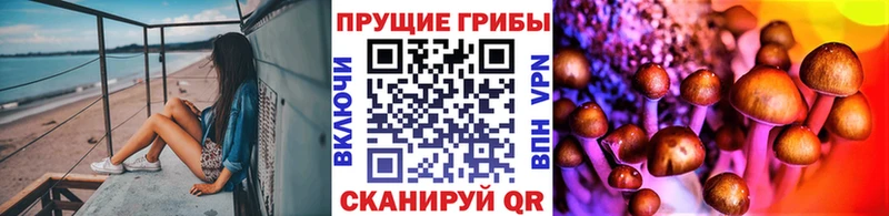 закладка  Бобров  Галлюциногенные грибы мухоморы 